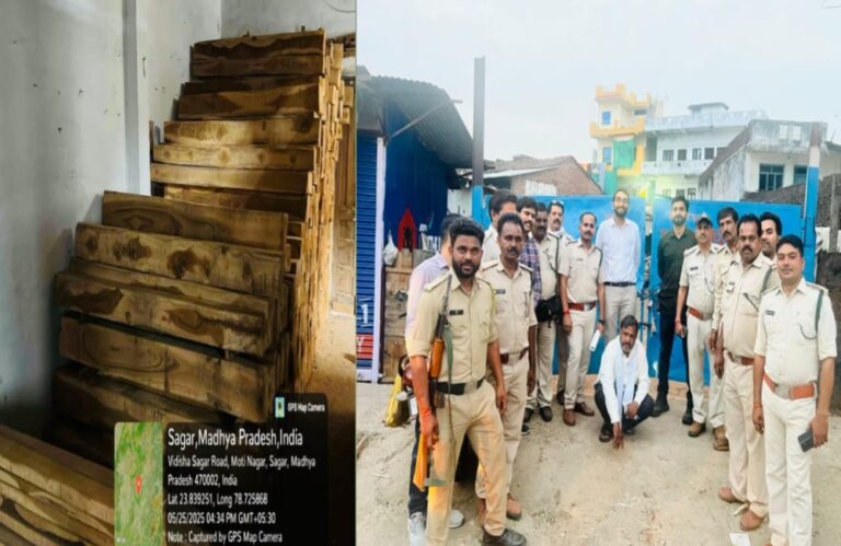 बैतूल से सागर आता था अवैध सागौन का जखीरा, जॉइंट ऑपरेशन ने की कार्यवाई टाल सील