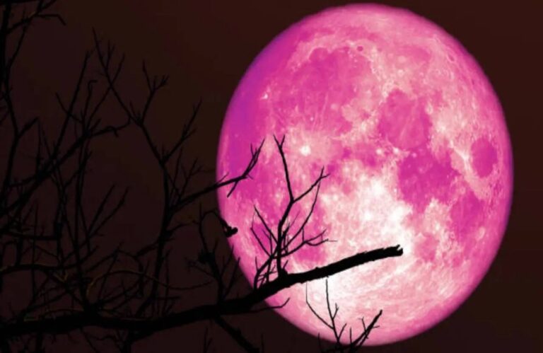 आज रात आसमान में दिखेगा रहस्यमयी ‘स्ट्रॉबेरी मून’, फिर 2043 तक नहीं दिखेगा ऐसा नजारा
