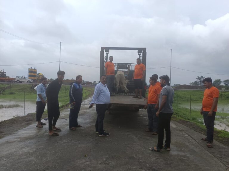 कलेक्टर के निर्देश का हो रहा है अनुपालन : सड़कों से आवारा मवेशी हटाने की कार्यवाही जारी