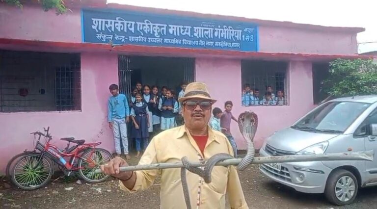 स्कूल में टाट पट्टी के नीचे छिपी हुई थी नागिन देख कर मचा हड़कंप, स्नेक केचर ने पकड़ा