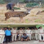 सागर में गर्भवती मादा चीतल का हुआ शिकार, वन विभाग ने घेराबंदी कर एक को पकड़ा दो शिकारी फरार