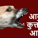 सागर में 3 साल की मासूम बच्ची पर आवारा कुत्ते ने किया हमला