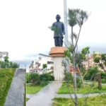 सागर में शहर की रोटरी पर उगा गांजा, शहर में चर्चा का विषय बना