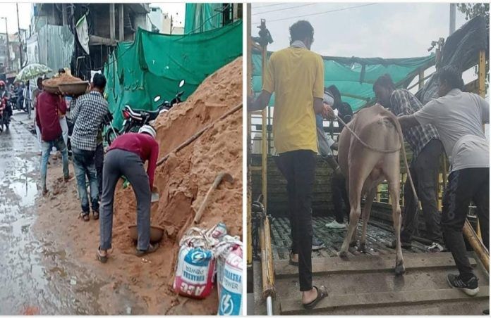 IMG-20250817-WA0122_copy_1000x650