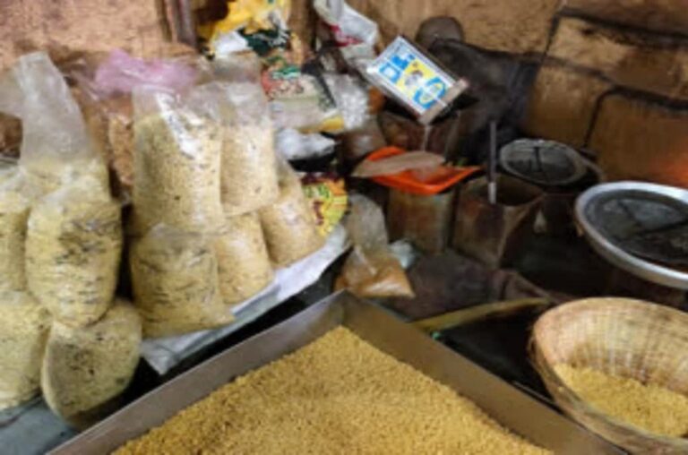 डेयरी, नमकीन, मिष्ठान दुकानों पर छापा, जांच जारी