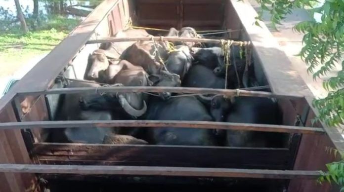 _1660662875_copy_1289x720