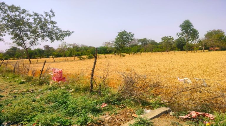 सागर में ट्रस्ट की जमीन बिक्री में बड़ा खुलासा, मोहत्तमकार ने बहु और साले को कौड़ियों के भाव बेचें भूखंड