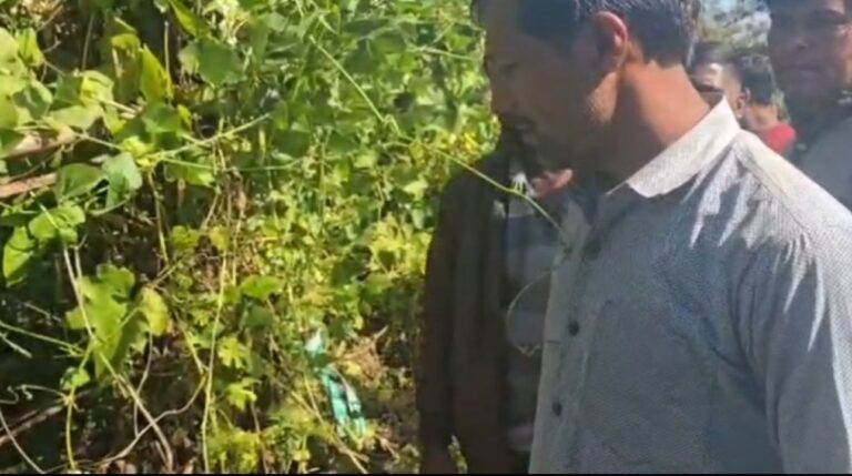 सागर में डेढ़ साल से चल रही थी नशे की खेती, पुलिस ने की कार्यवाही