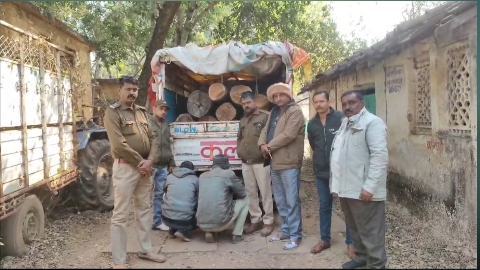 सागर में सागौन लदी पिकअप जब्त, एक आरोपी फरार, 2 गिरफ्तार