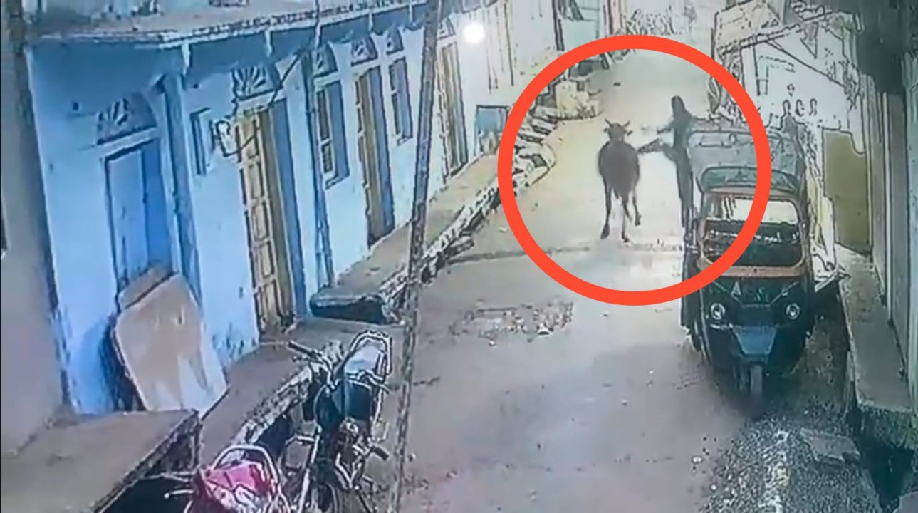 गाय से बेरहमी का वीडियो वायरल, आरोपी गिरफ्तार