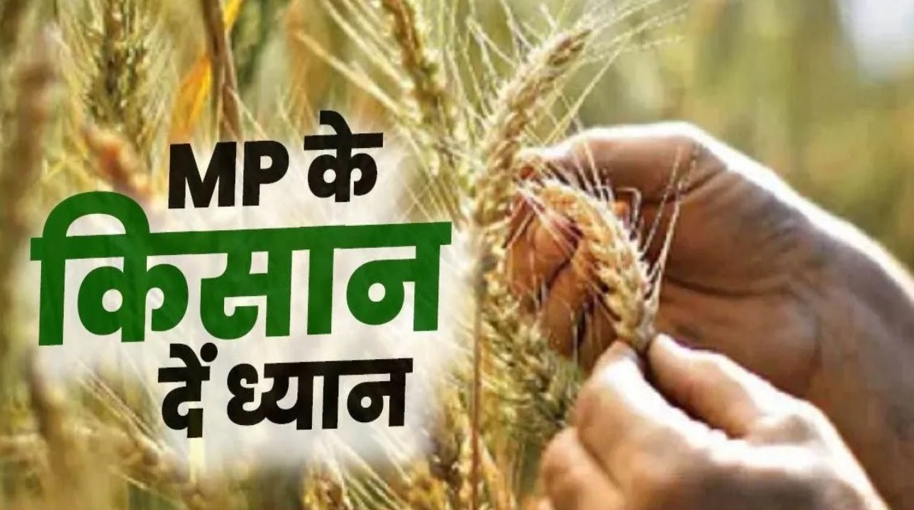 गेहूँ उपार्जन के लिये किसान पंजीयन 7 फरवरी से शुरू होगा