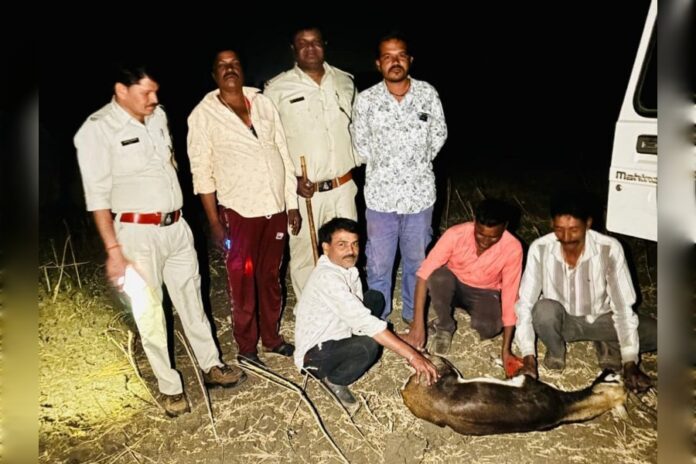 1000206955_1774617697_copy_900x600