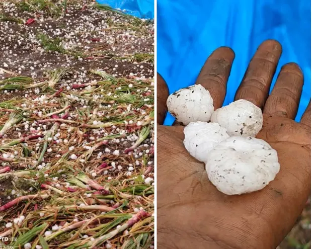 Screenshot_2026-04-05-09-44-52-80_a23b203fd3aafc6dcb84e438dda678b6