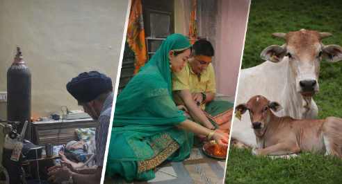 file_0000000093e071fab3ab6e42a94af4a4_copy_492x266